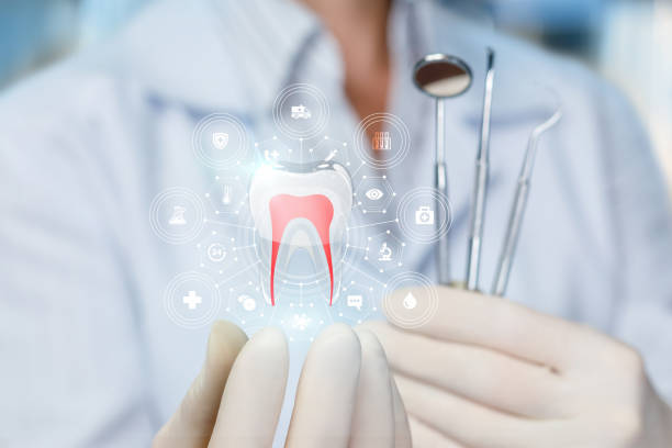 Dental X-Rays and Imaging in Fort Meade, MD